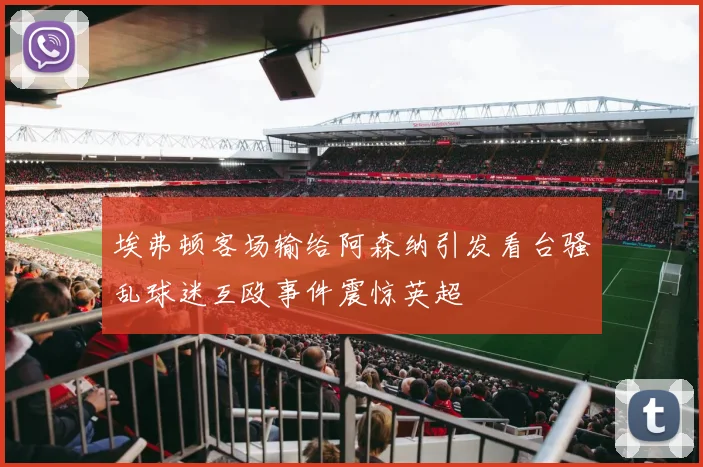 埃弗顿客场输给阿森纳引发看台骚乱球迷互殴事件震惊英超