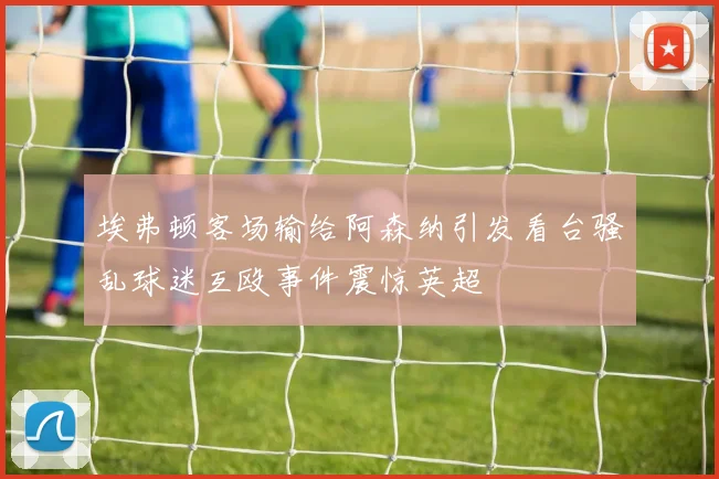 埃弗顿客场输给阿森纳引发看台骚乱球迷互殴事件震惊英超